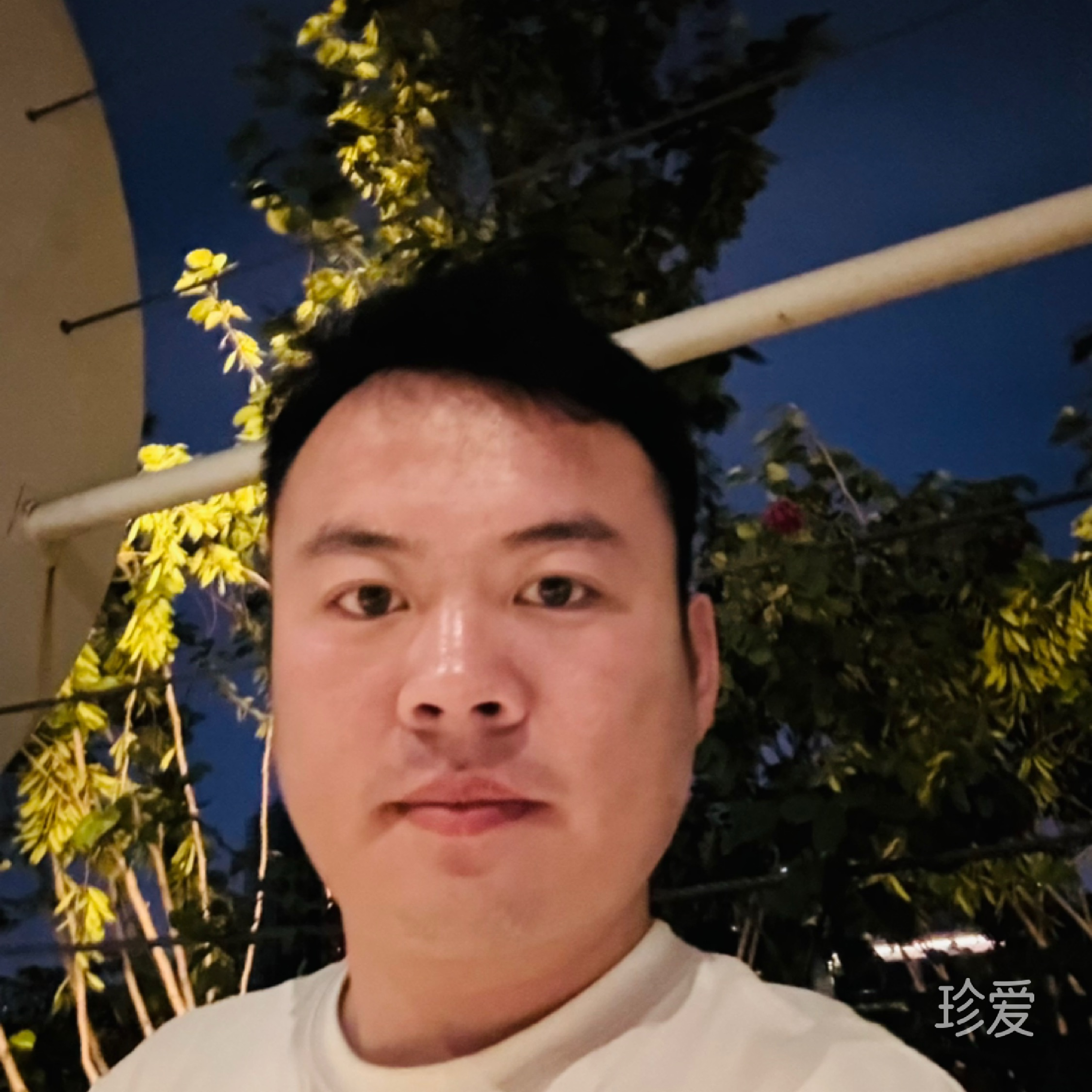 时光荏苒