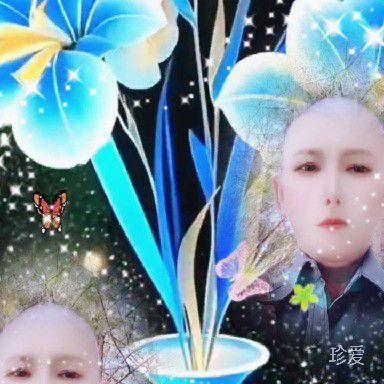 苏英子宝贝苗疆