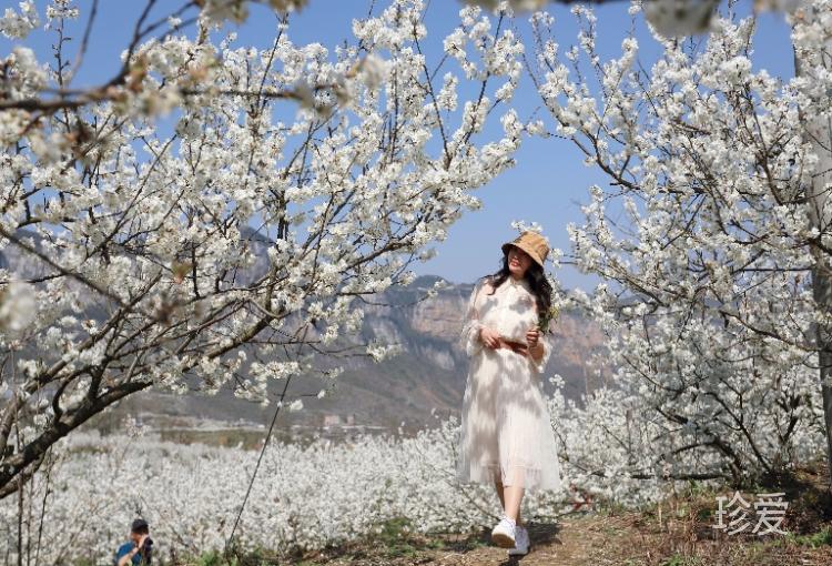 A缘来may是你0558