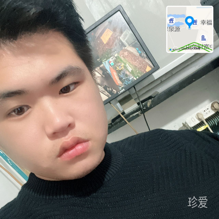 大漠胡杨
