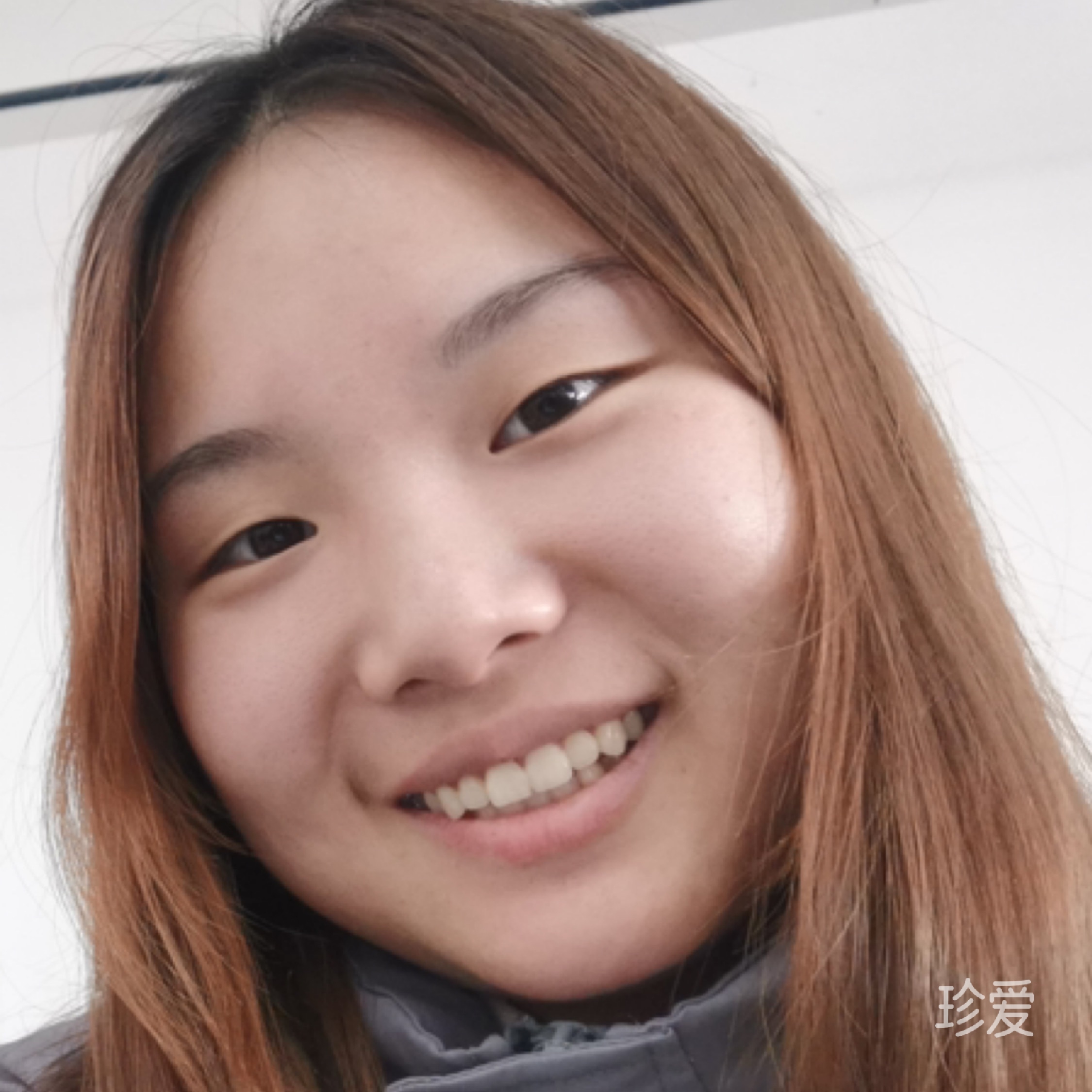 不爱吃汤圆的鱿鱼