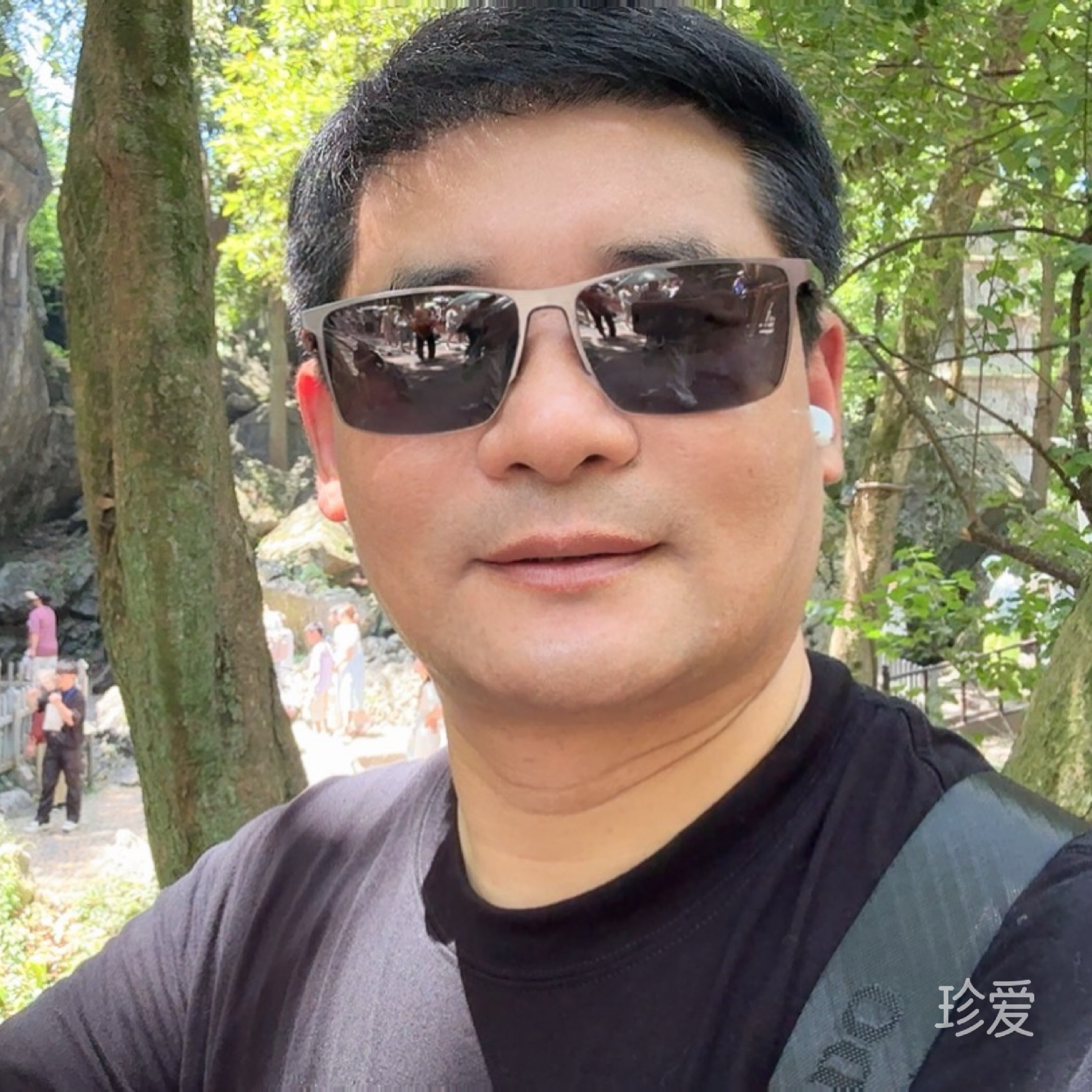 竹影清风