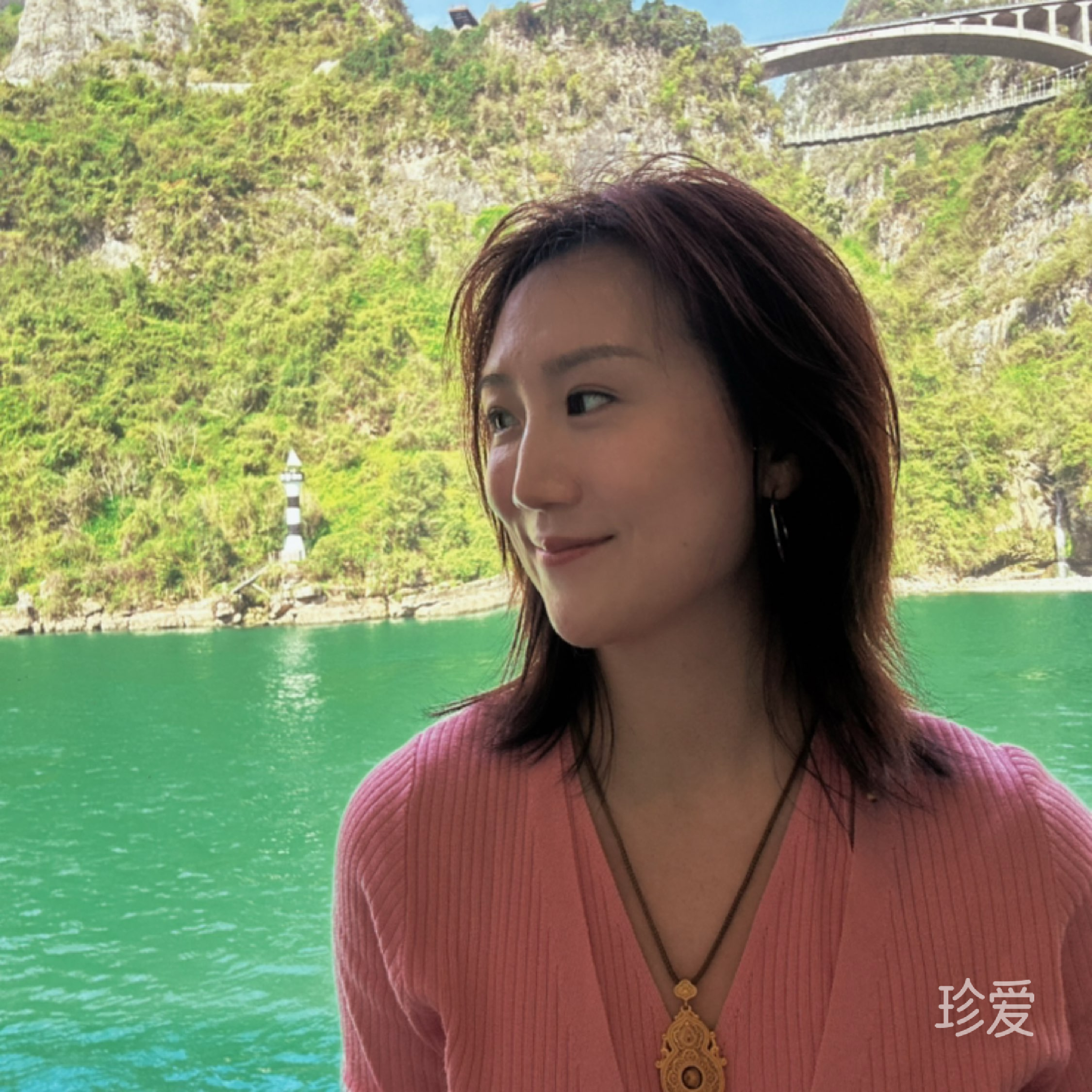 小时园边的太阳花