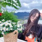 星星上的圣誕樹