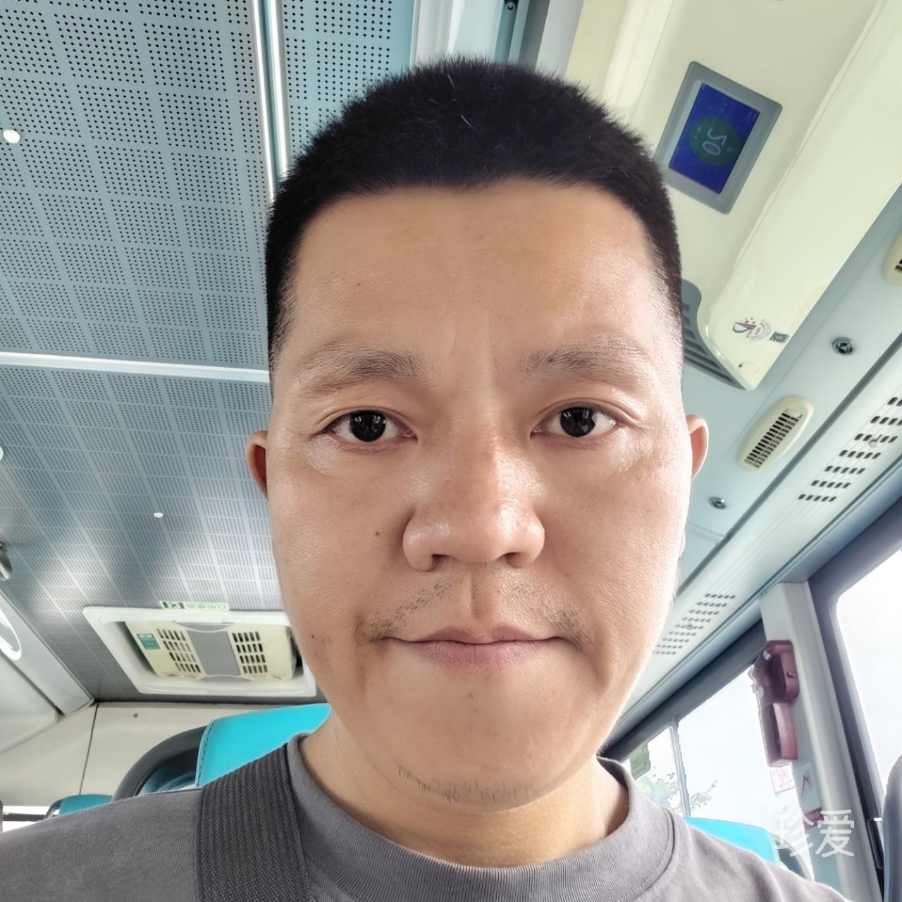 爱在这个夏天