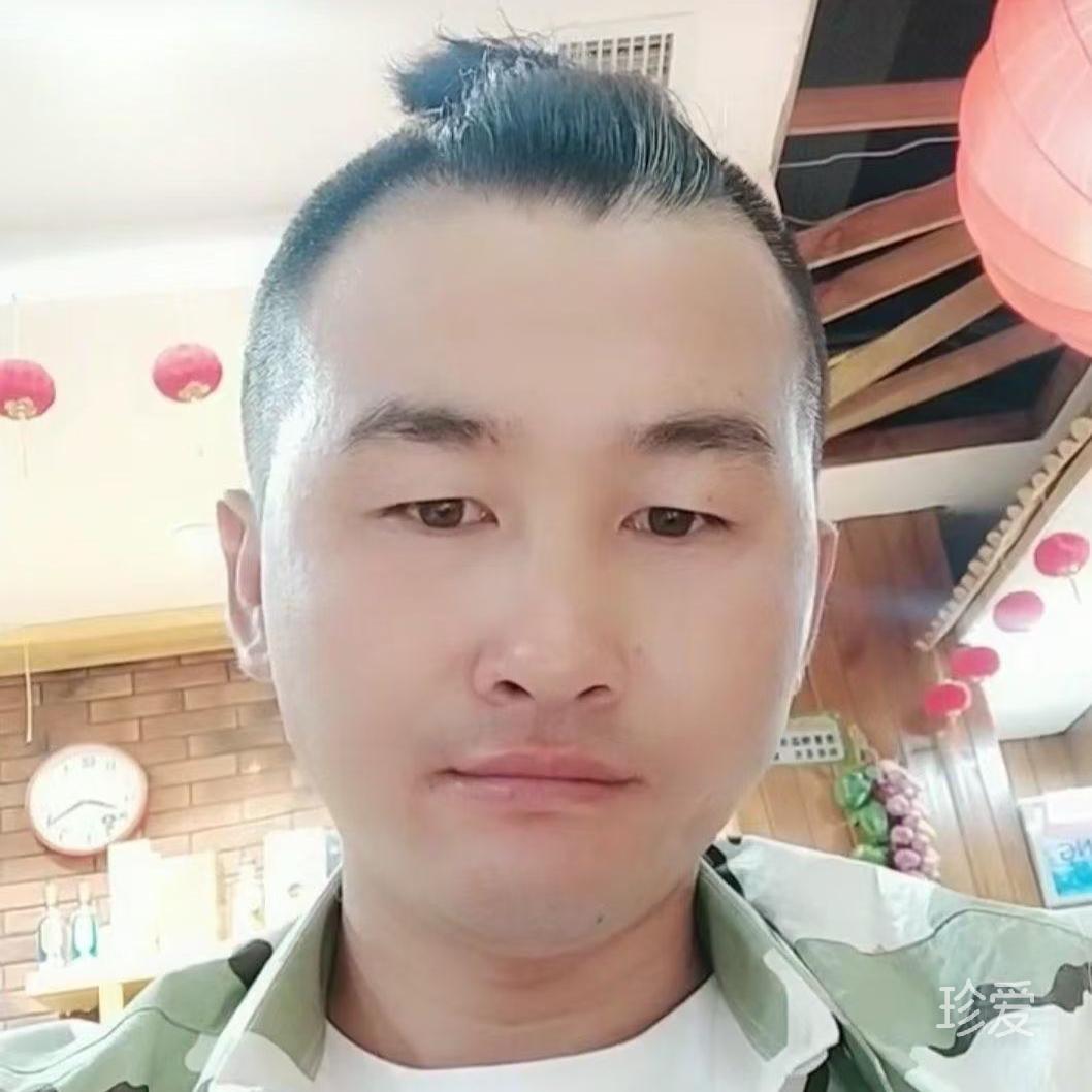 淡淡的我