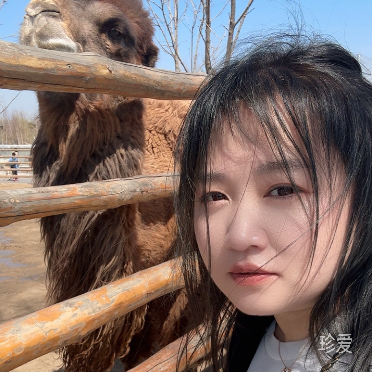 娇滴滴的女人