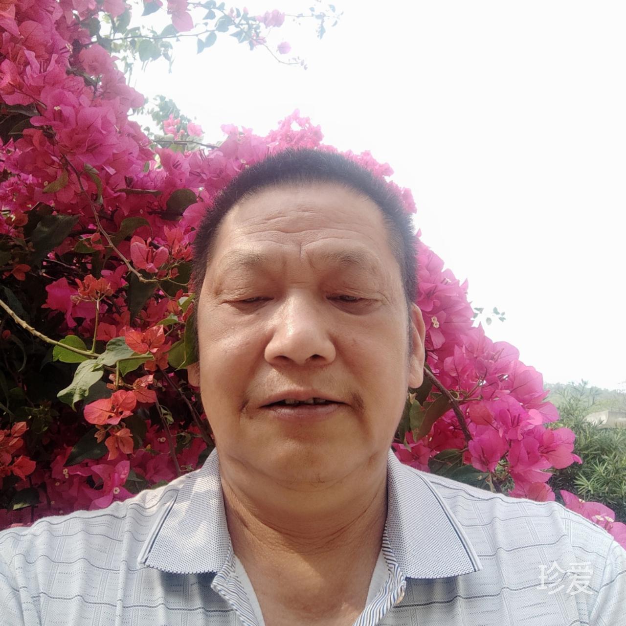 平淡清净