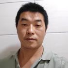 瀟灑樹(shù)葉