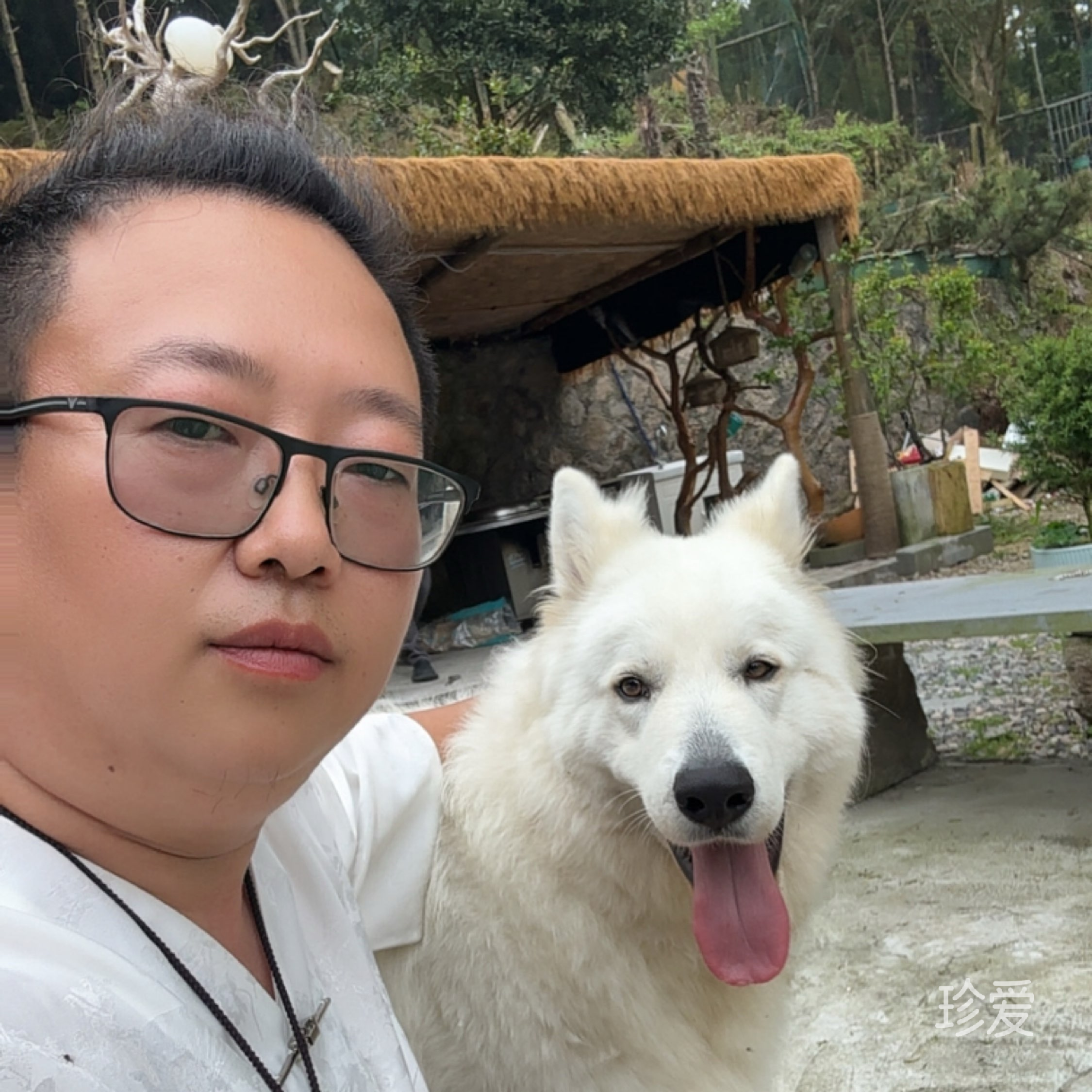 易风