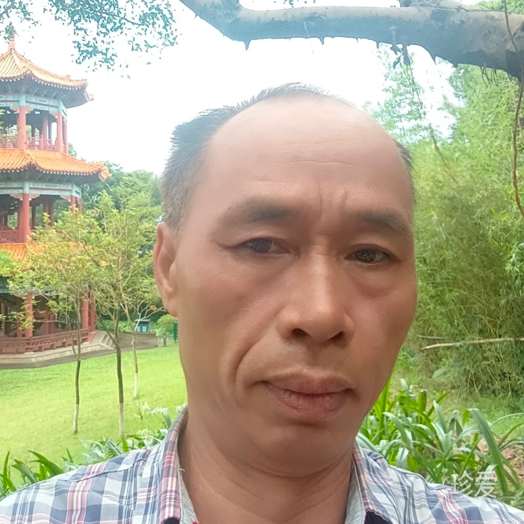 尊贵王子