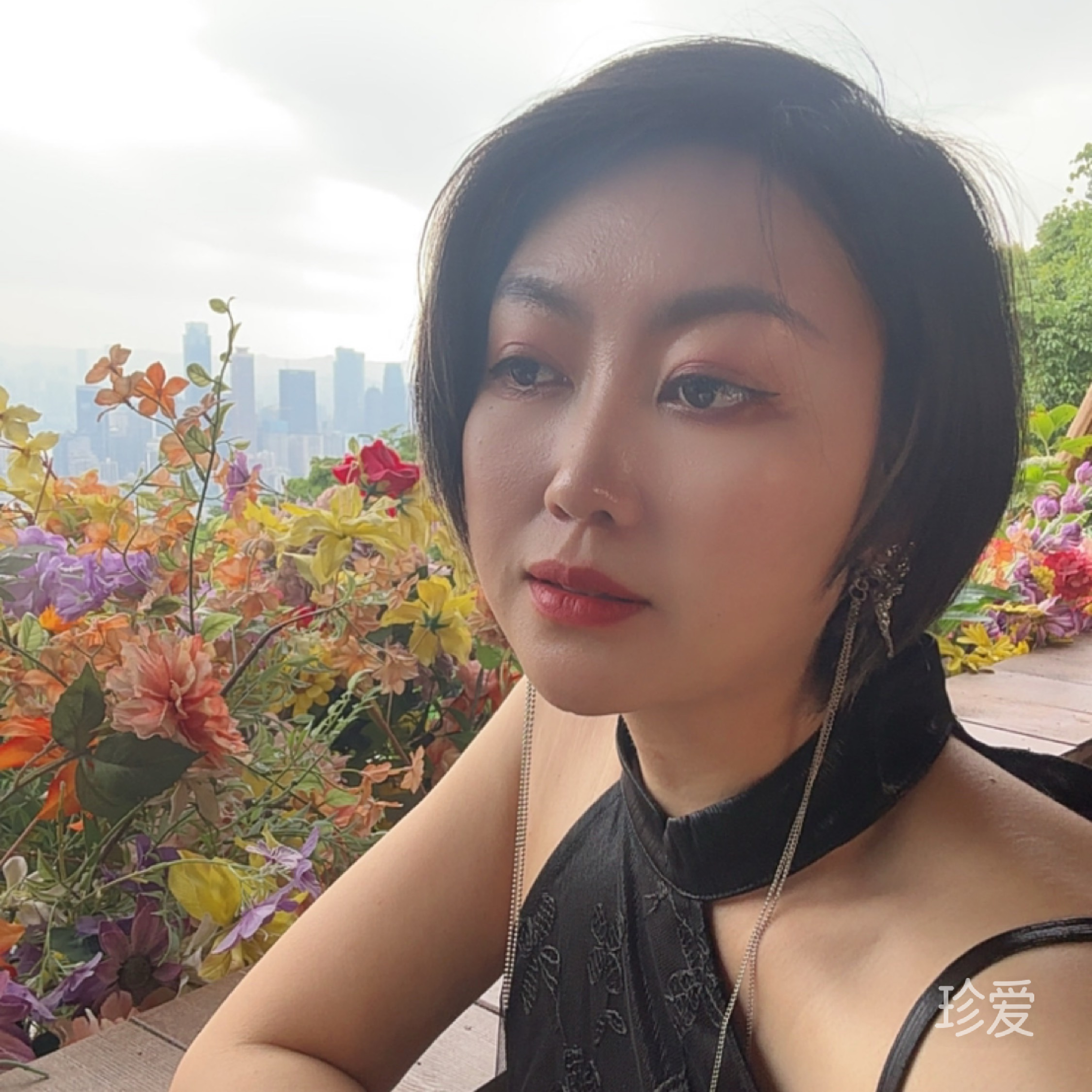 紫藤依蕊