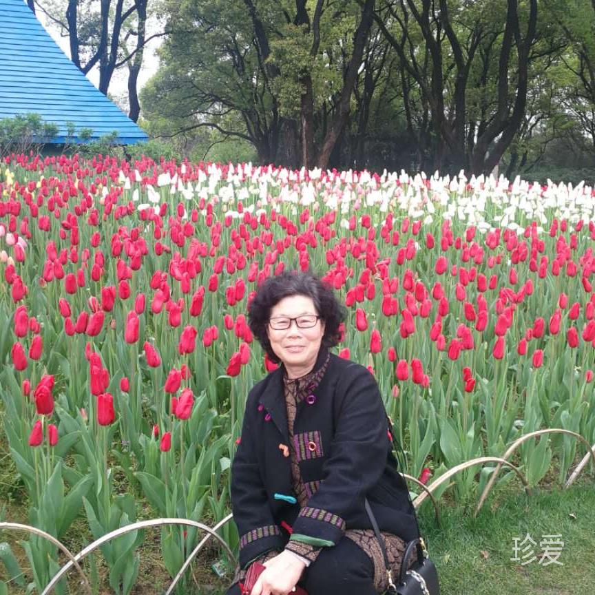 一支腊梅