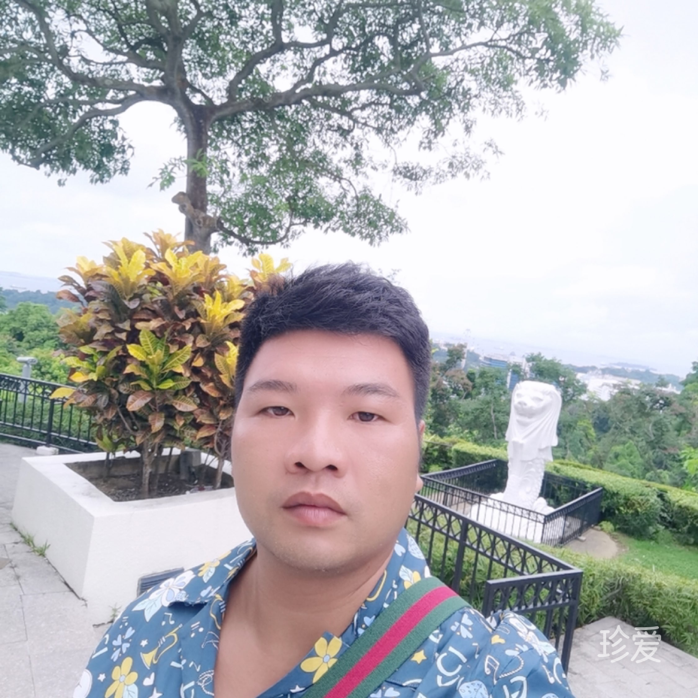 Xiao程