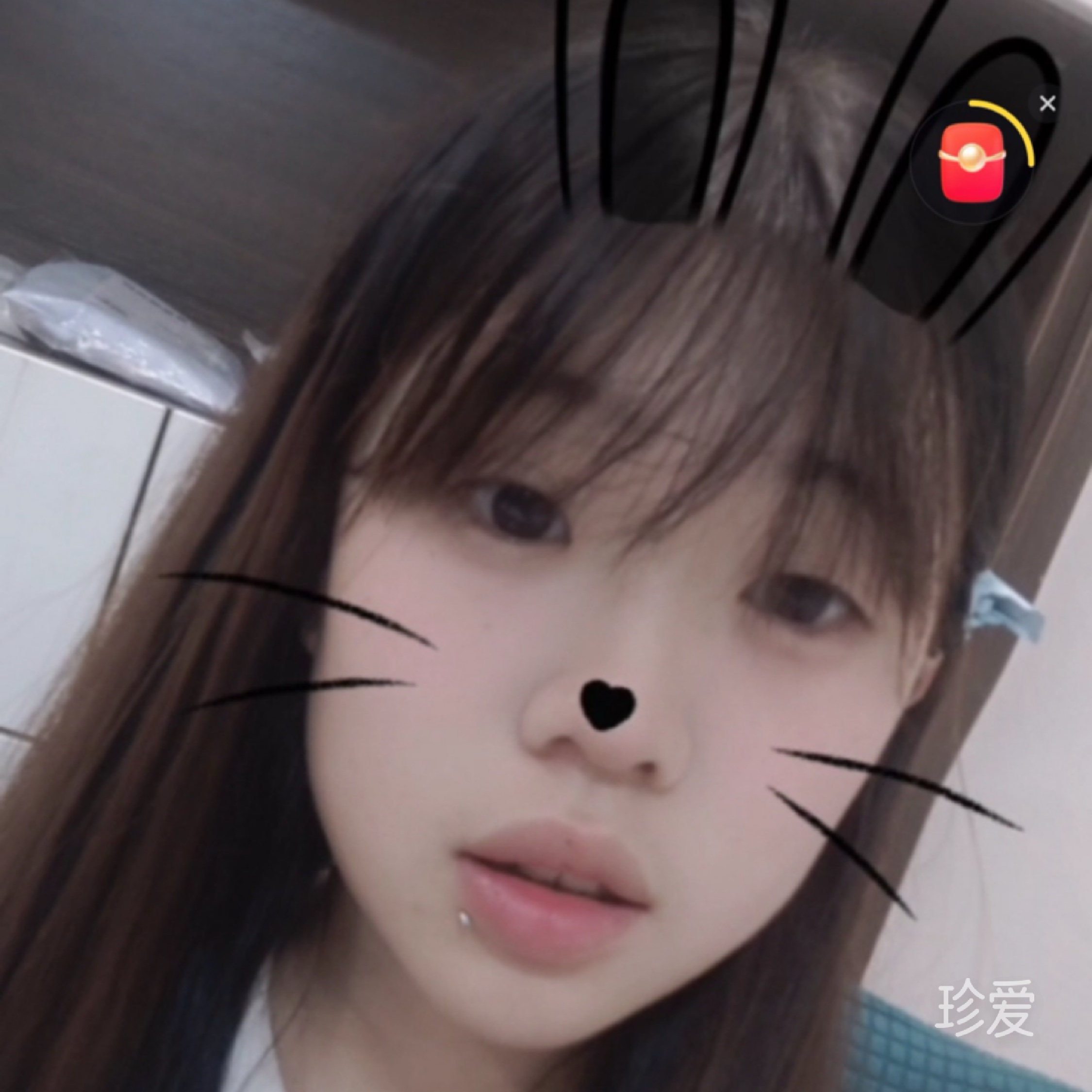 心依