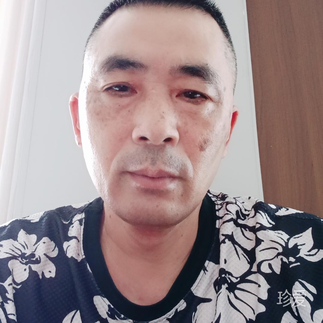 飘零的鱼