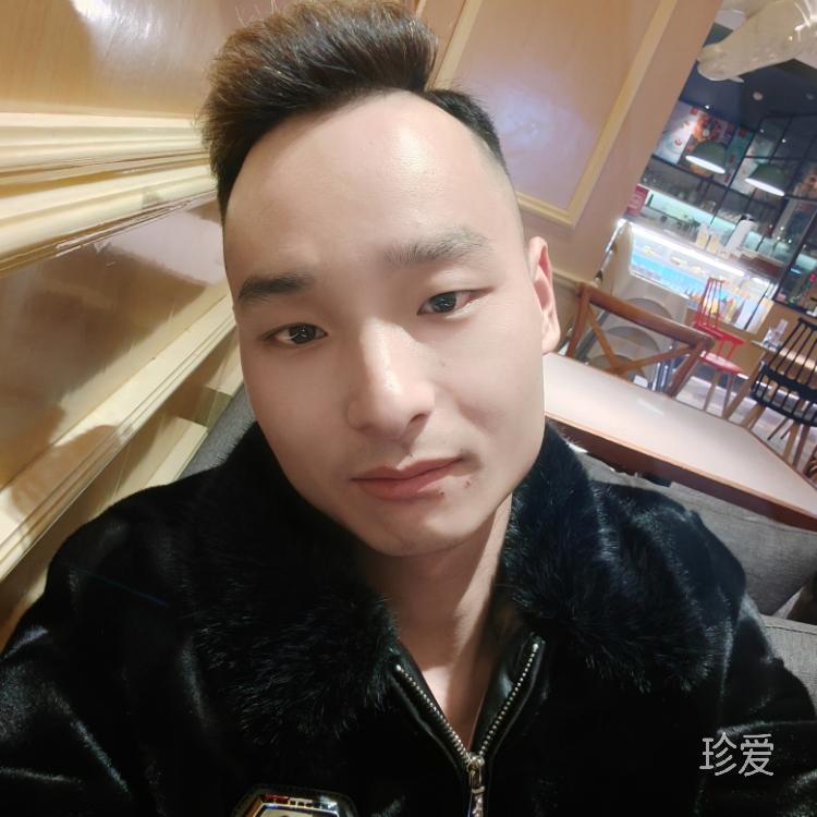 走走停停的人生