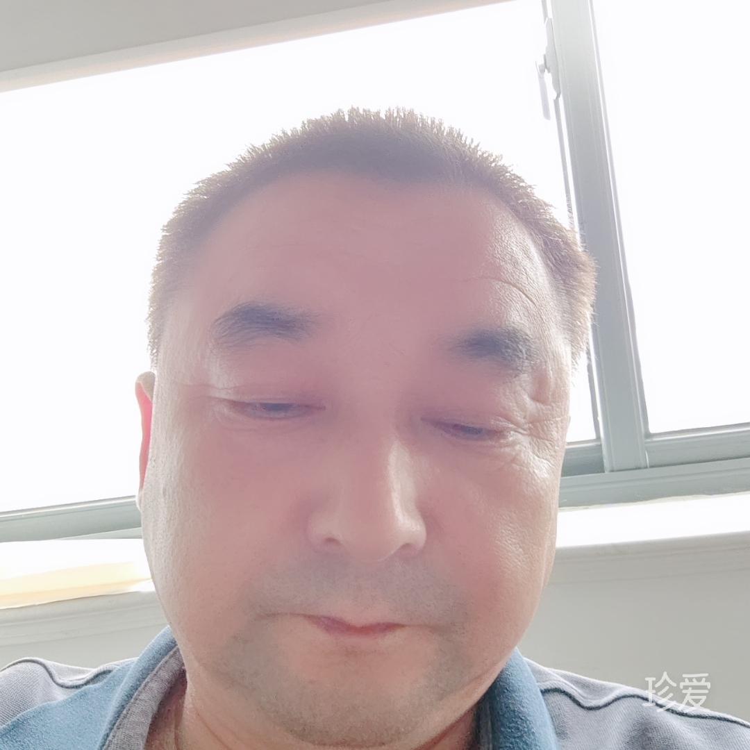 大漠胡杨