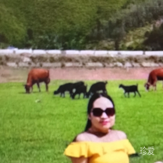 傲寒清影