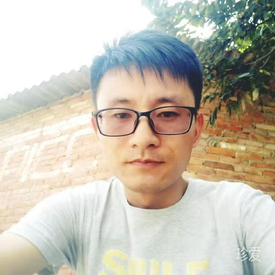迷路小狼