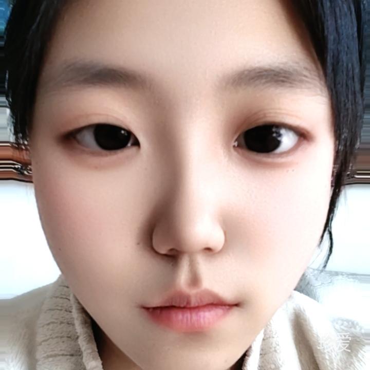 风豹