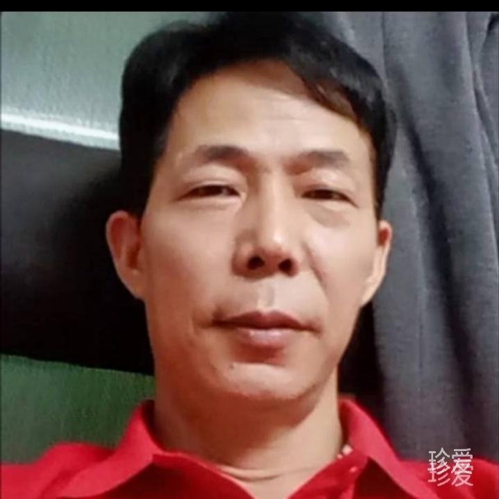 铝林