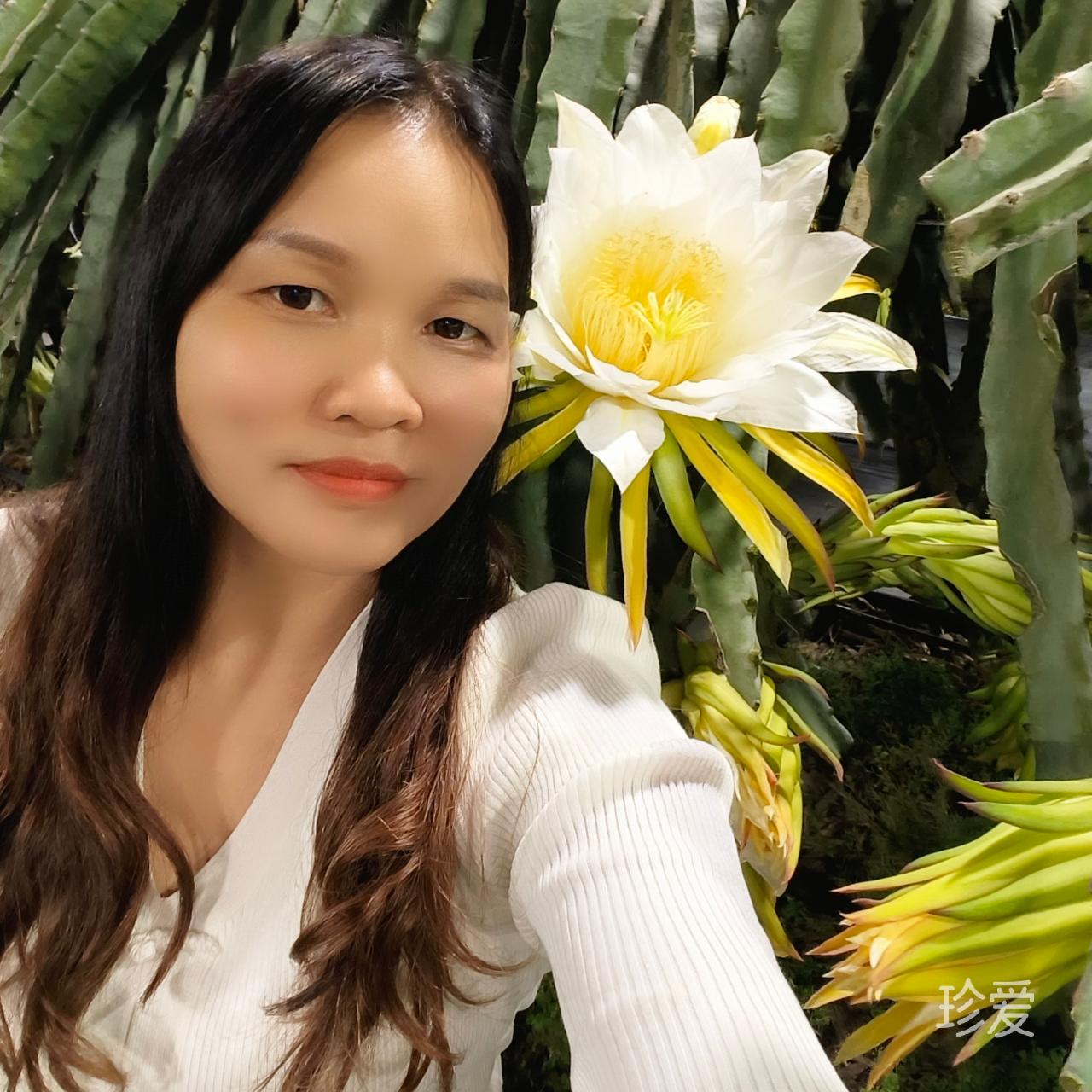 清風(fēng)聽(tīng)雨