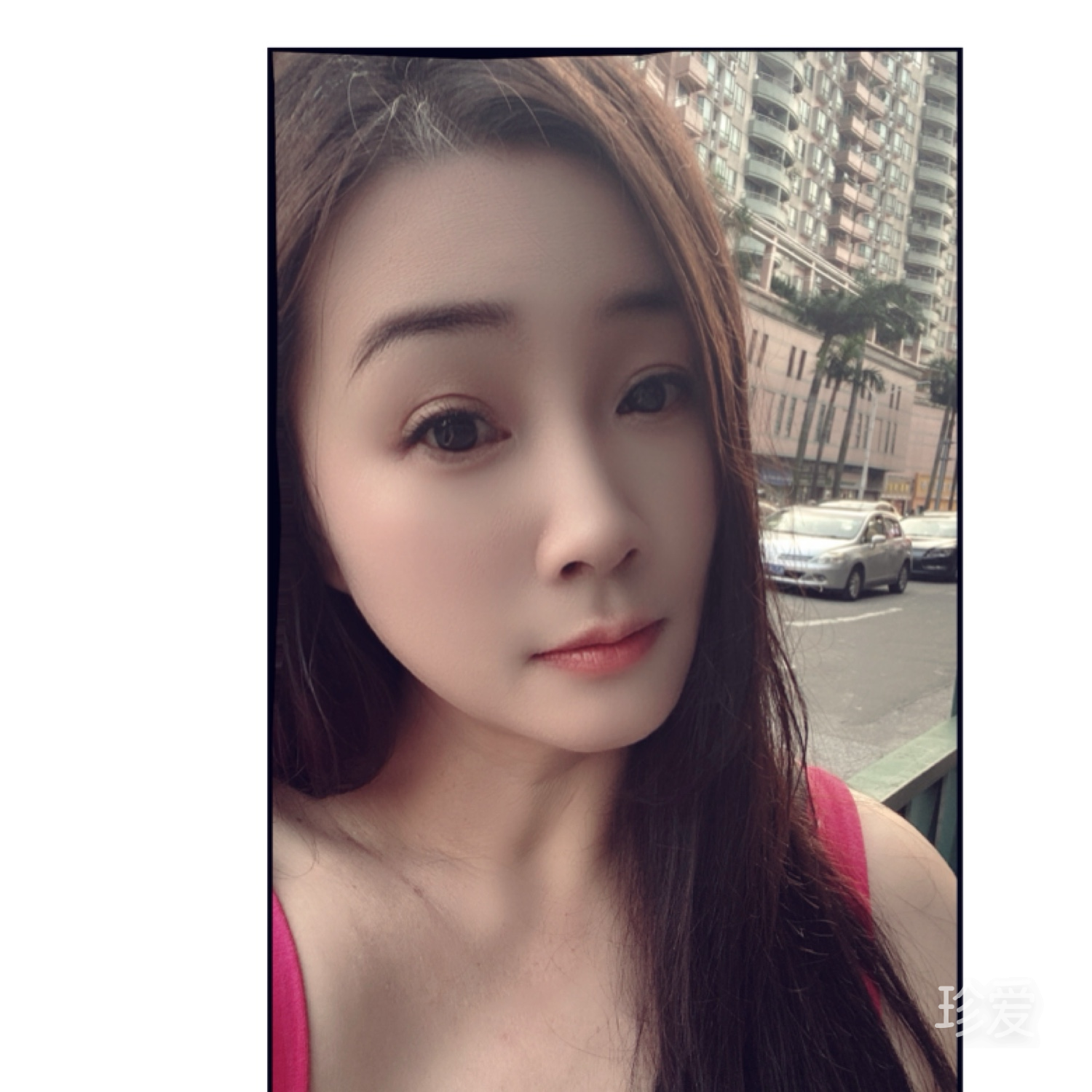 向阳花开