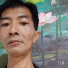 心若靠岸