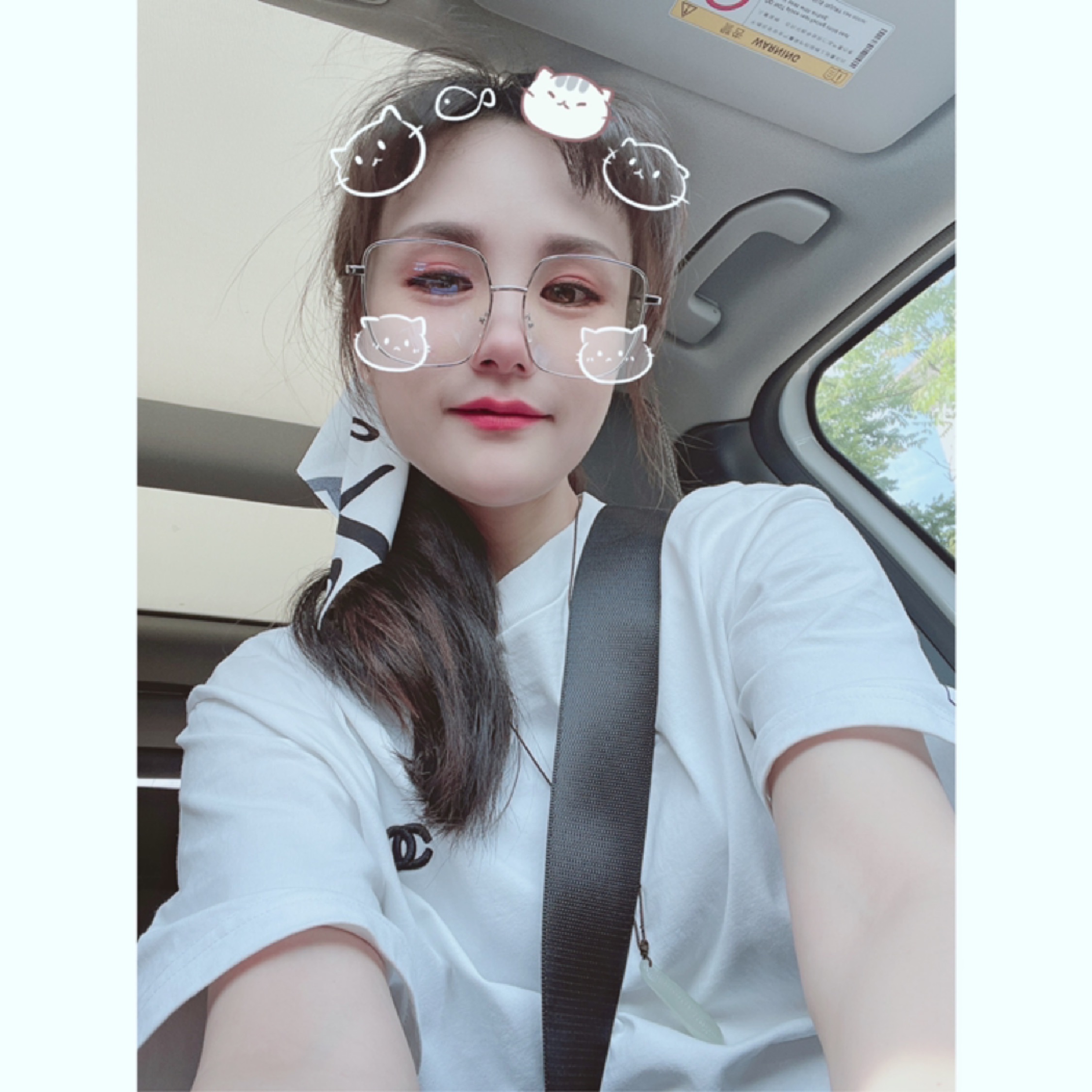 小荷才露尖尖角