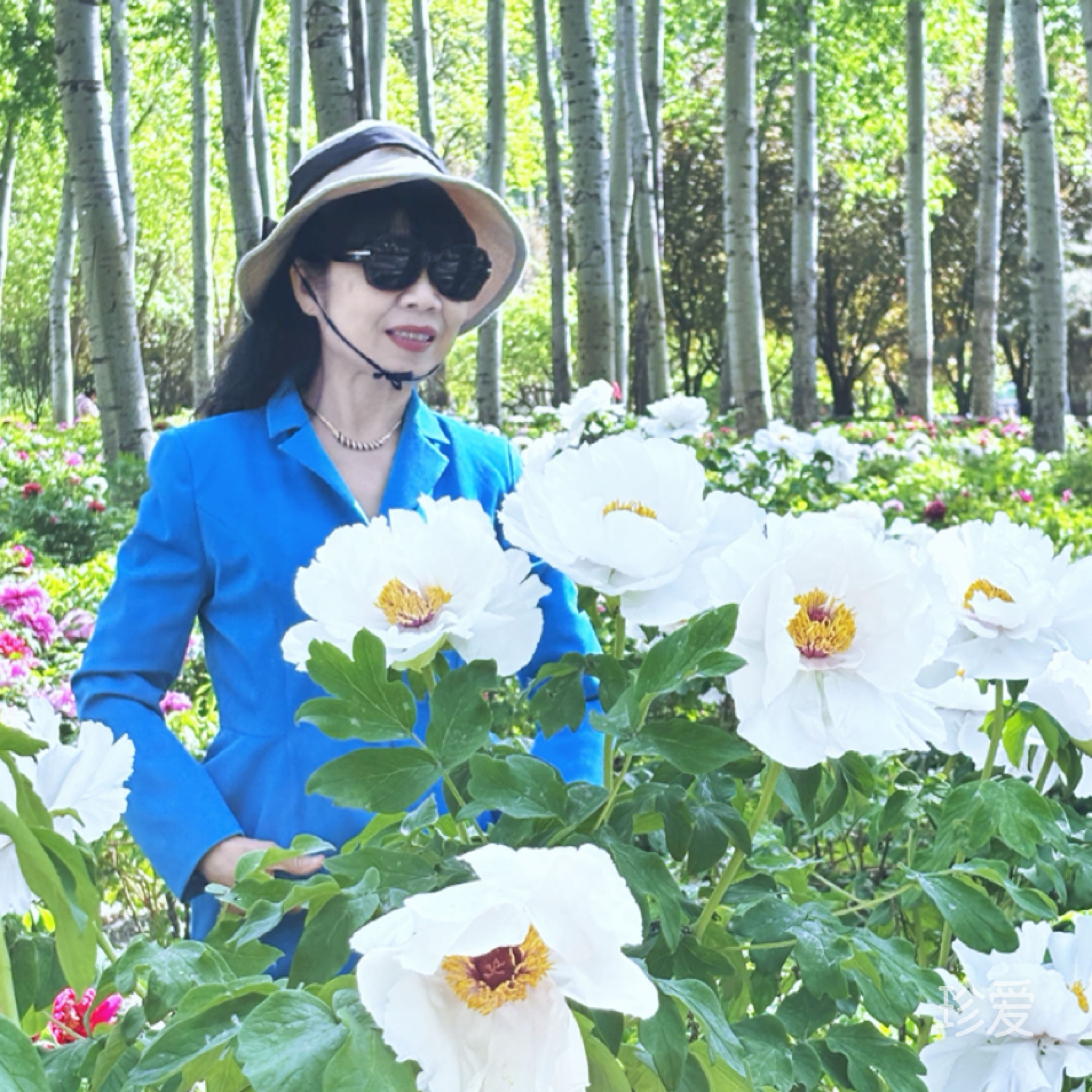 一份炸鸡