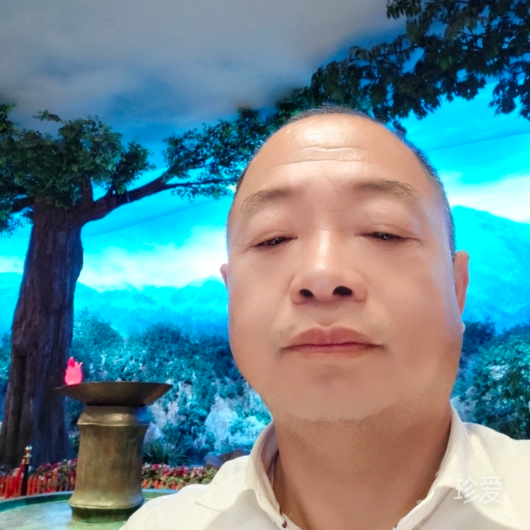 我的心好冷