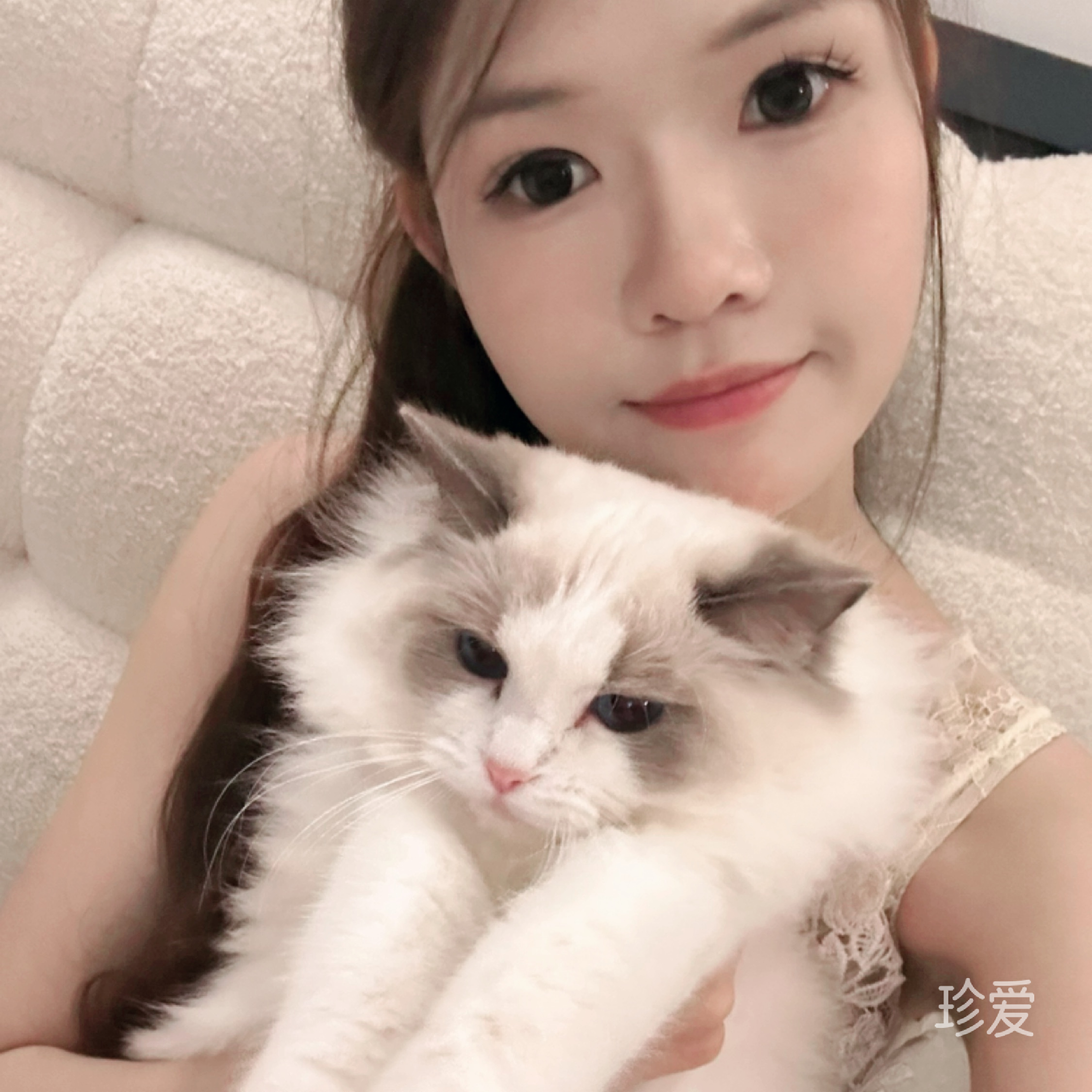 江楚晴