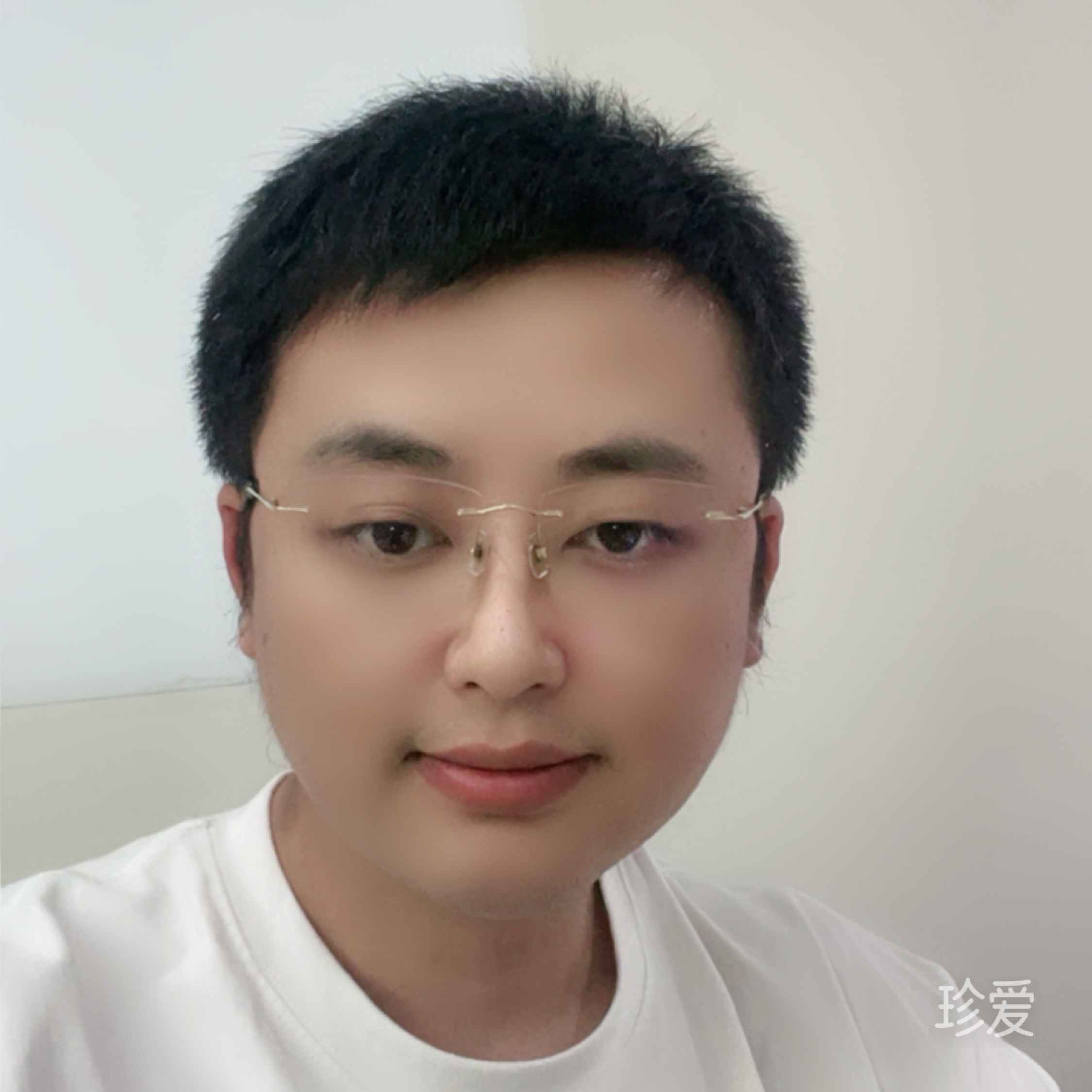 南方有木