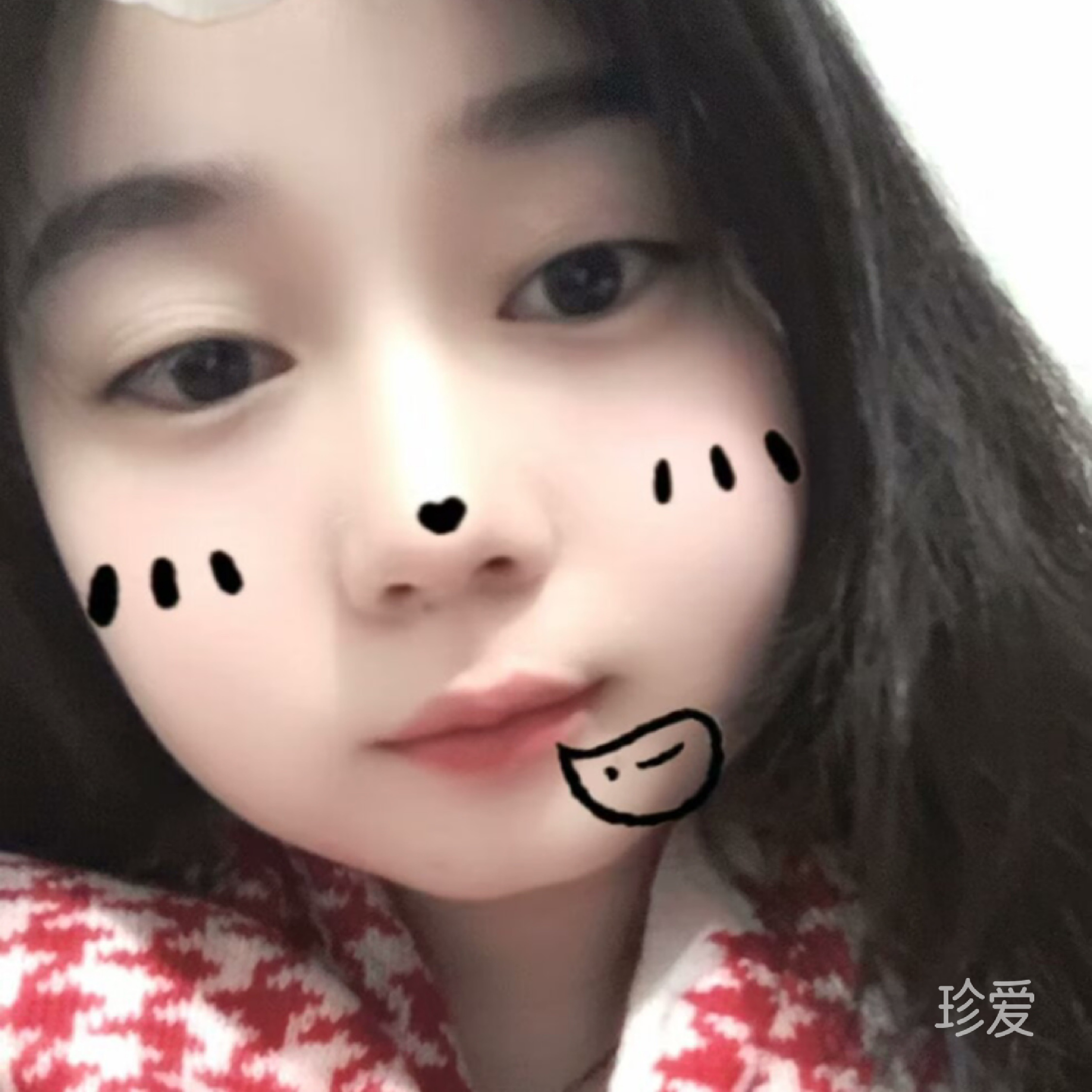 蜜露果園的布偶貓