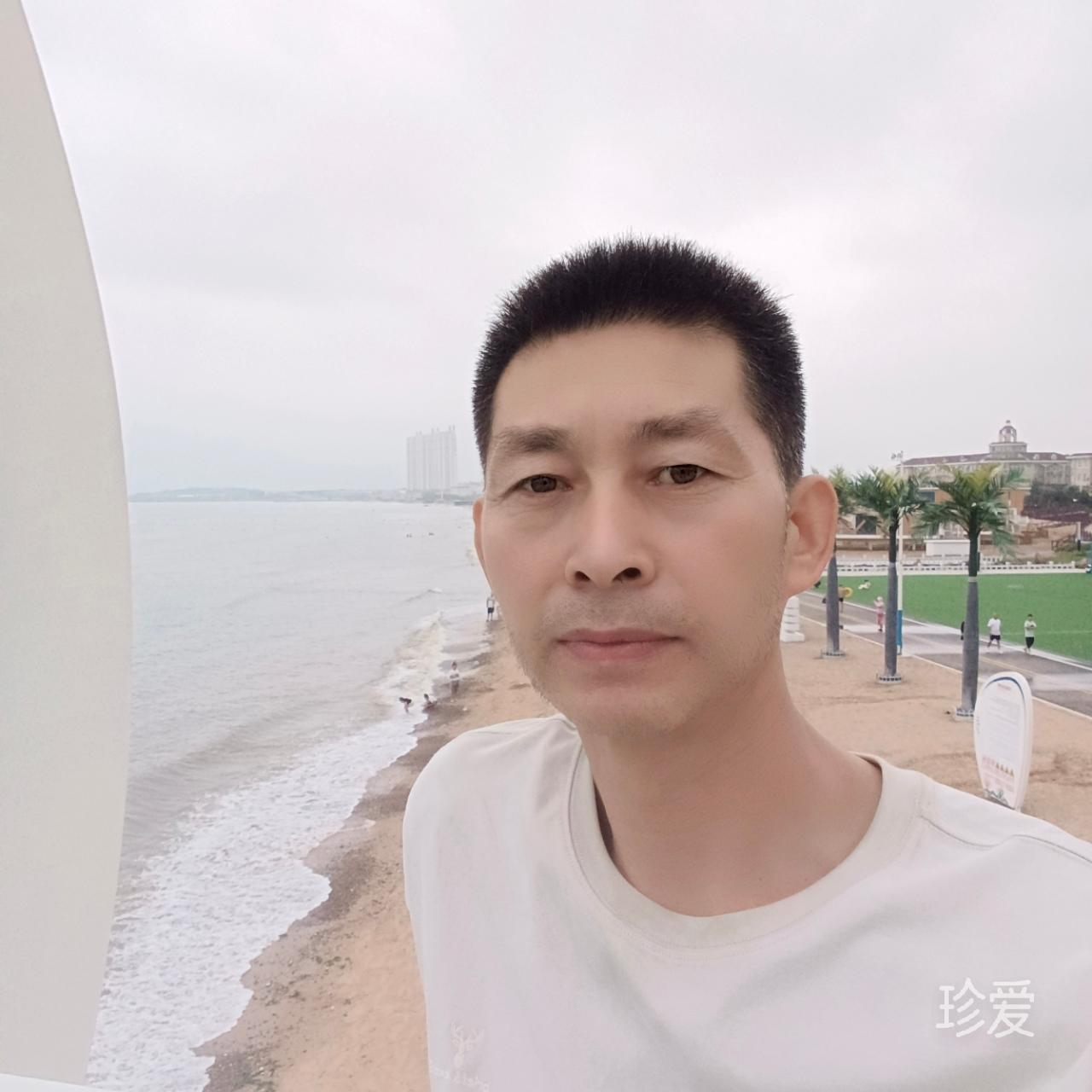 平凡亦真