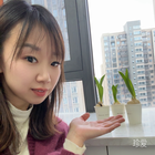 幻想糖果