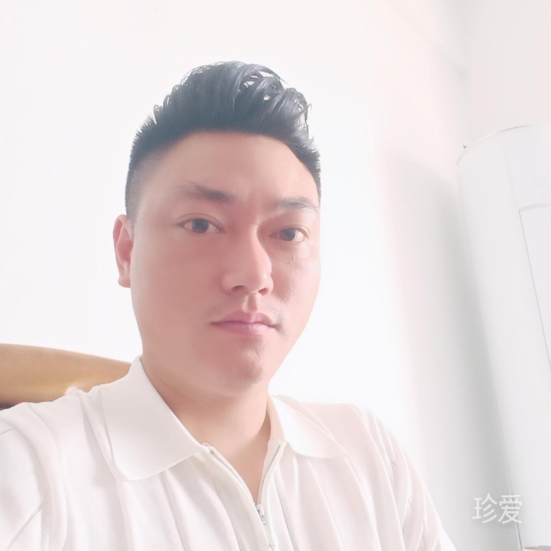 潜水的猫