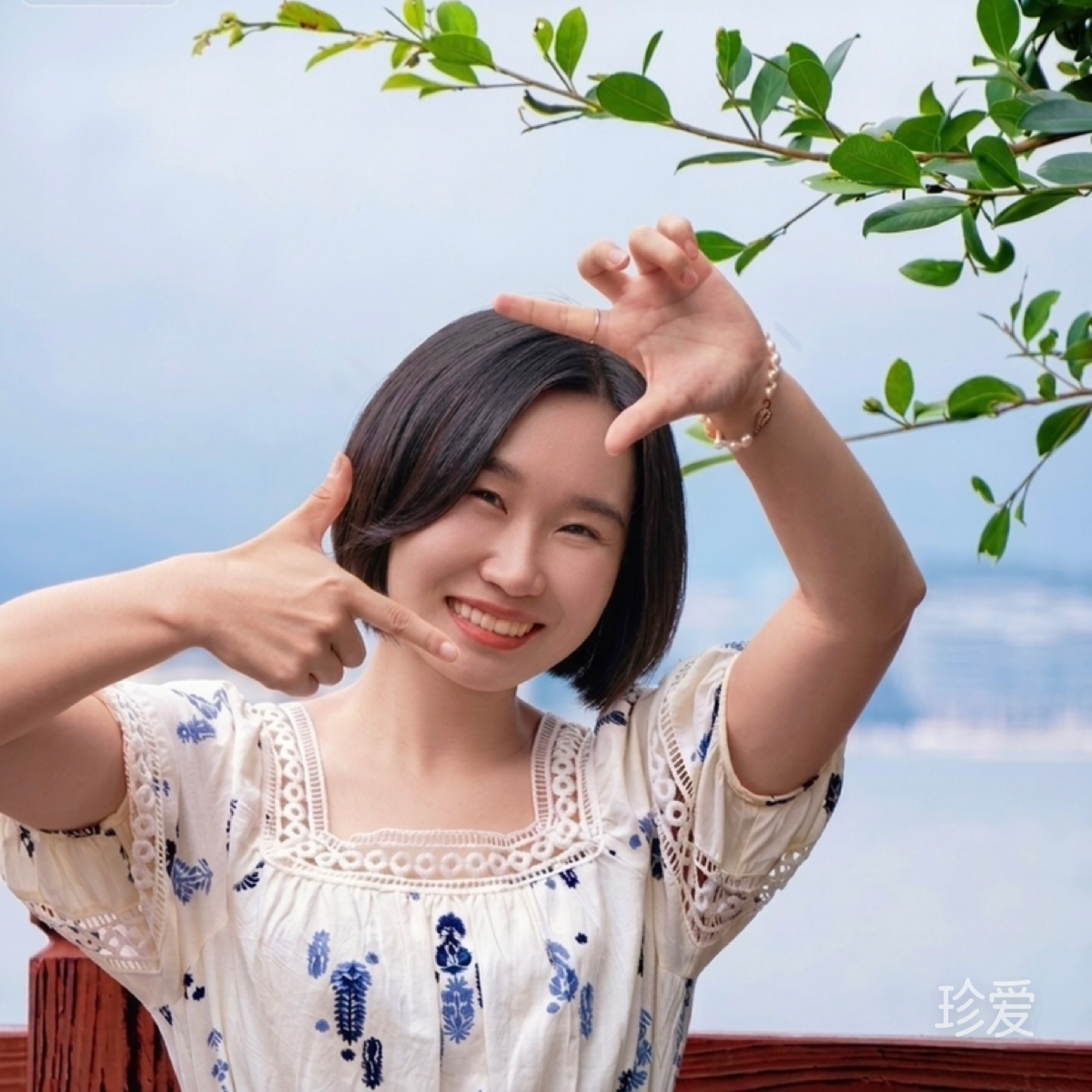 画杨桃