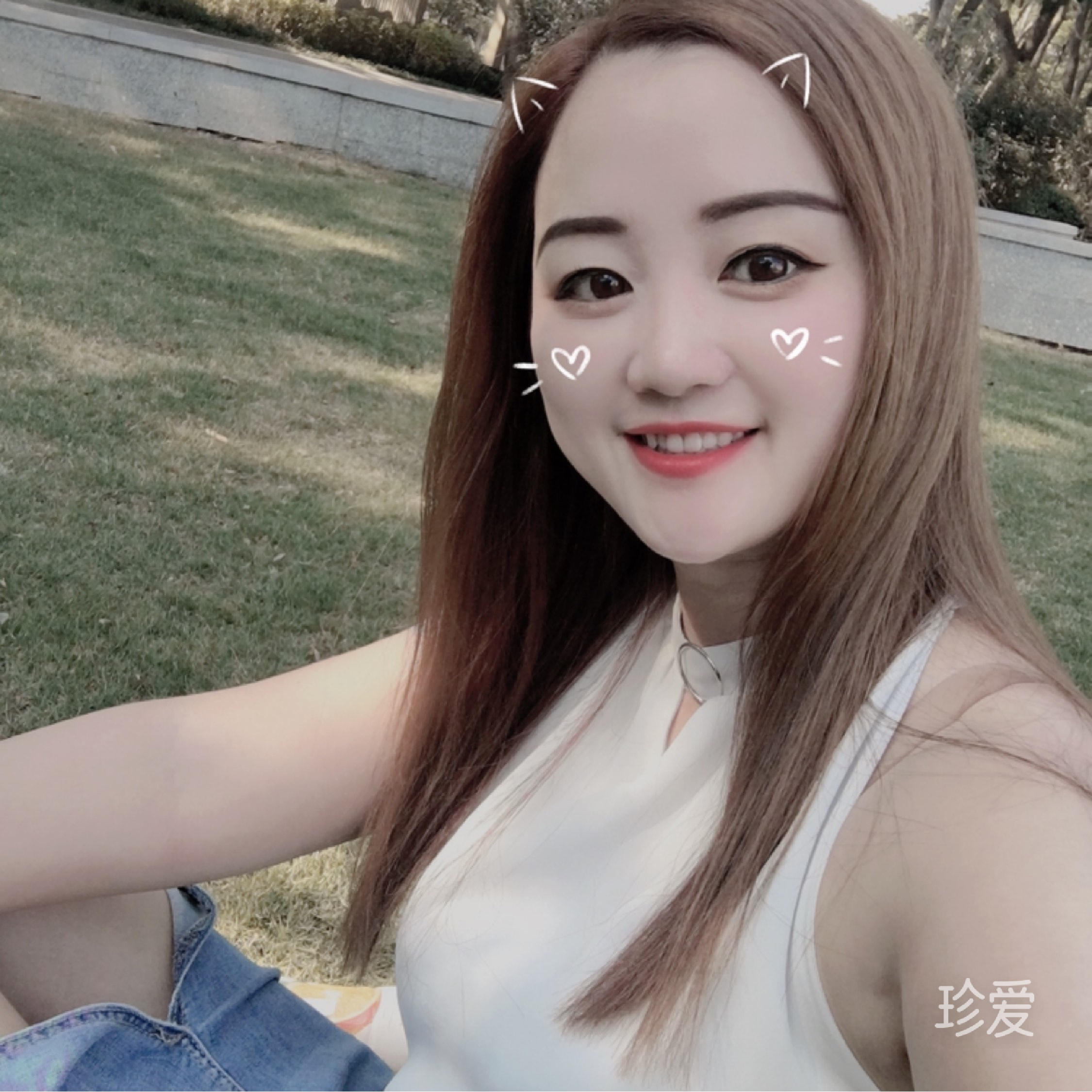安静的小猫