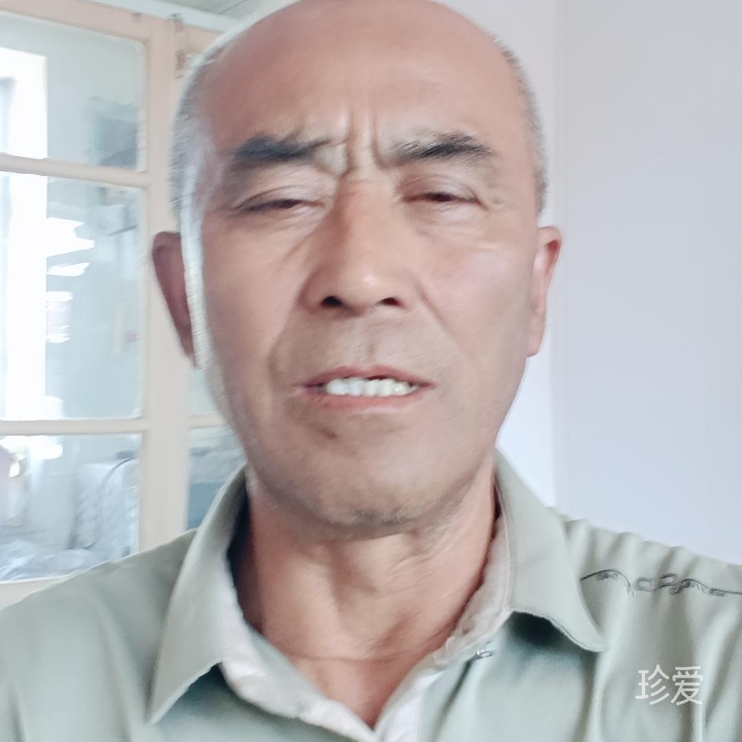 放飞自