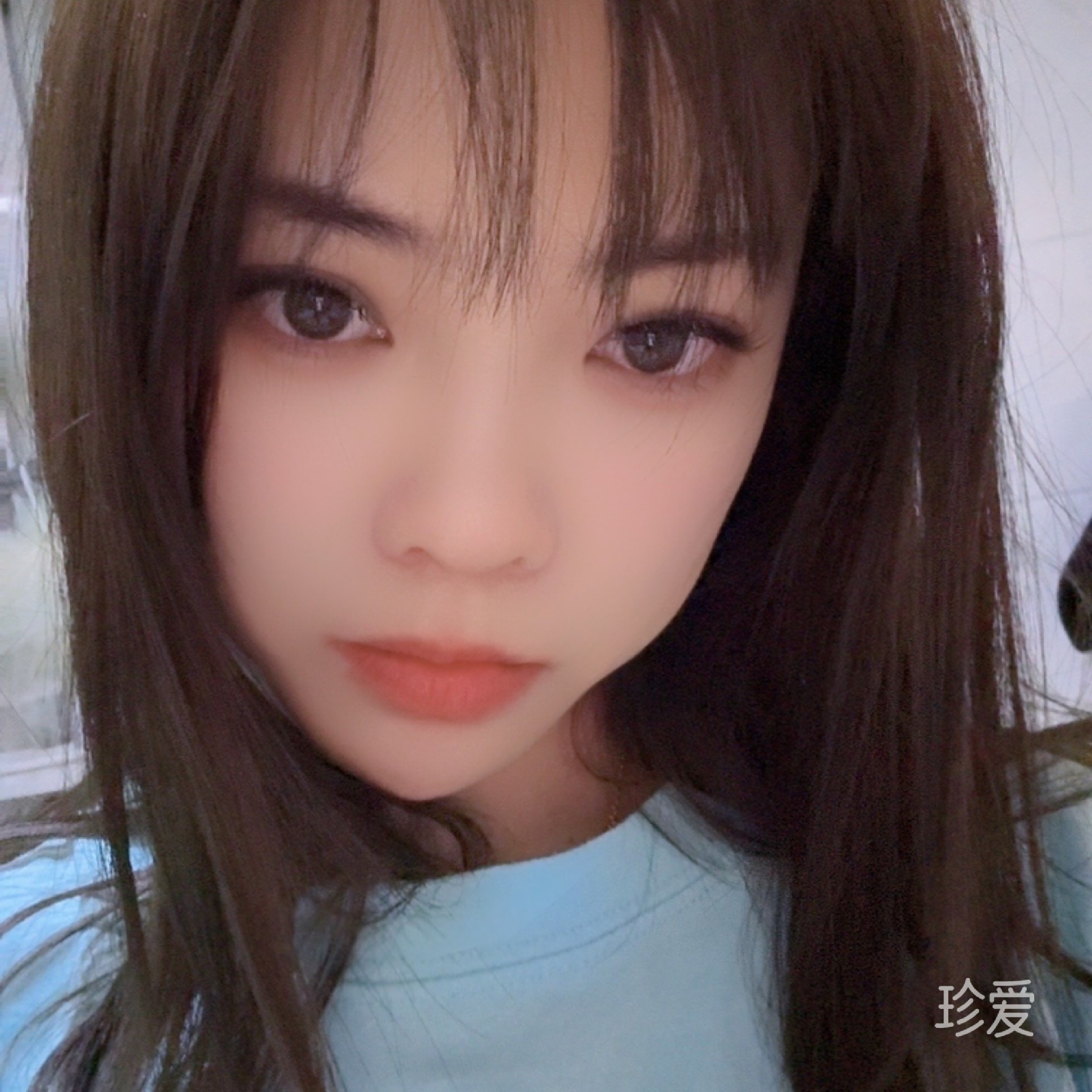木木