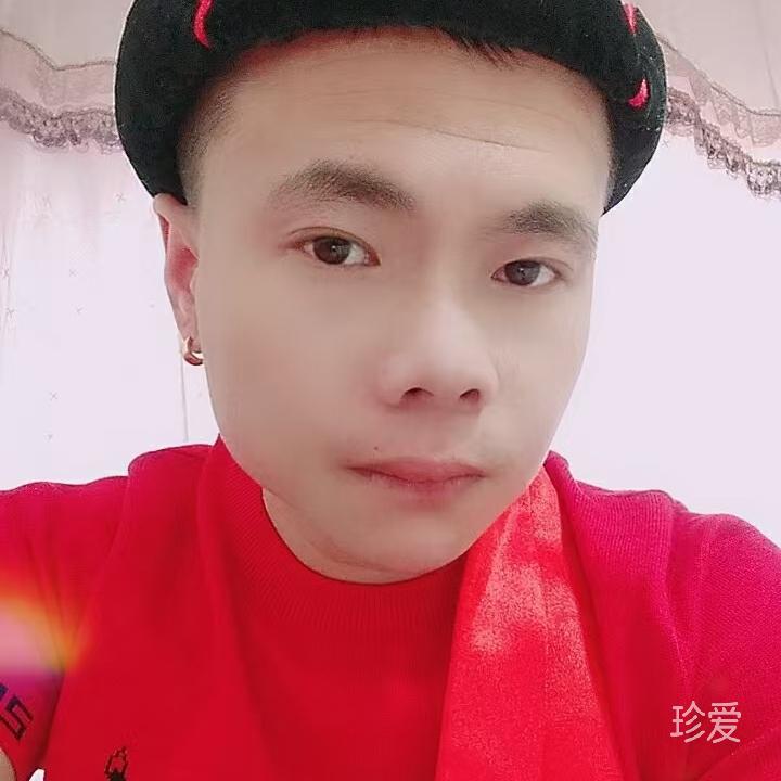 我是一只魚