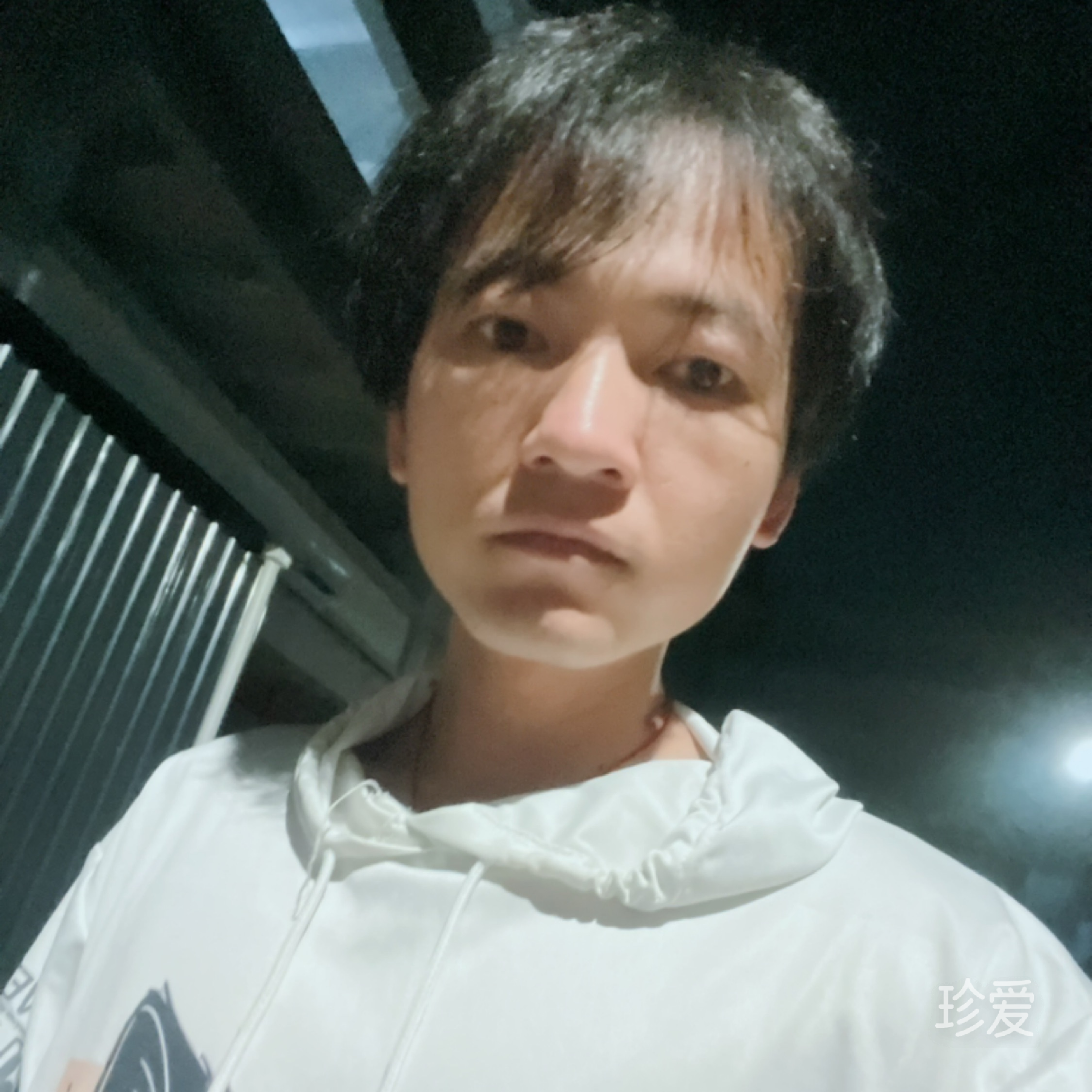 傻小猪