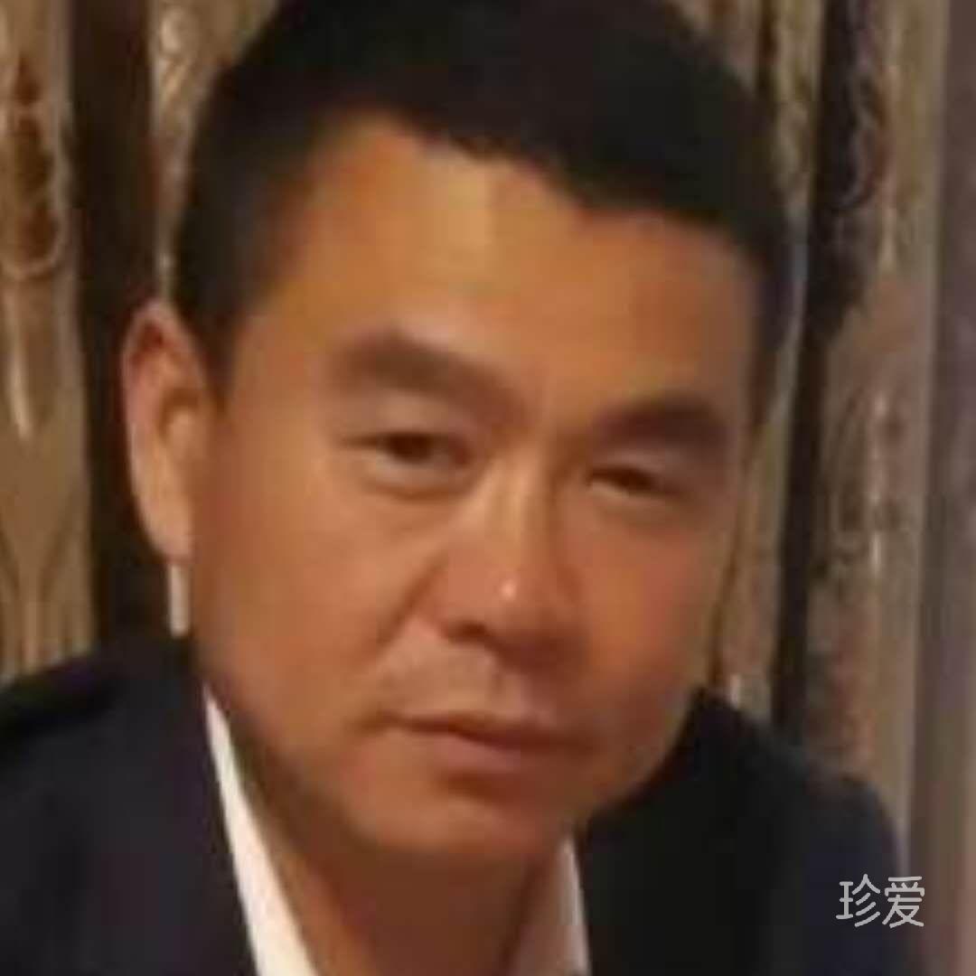 雁南飞