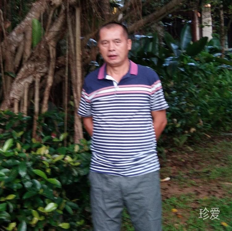 阳光森林