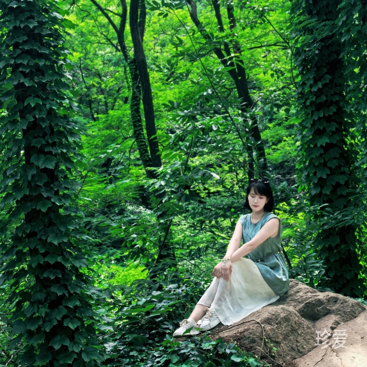 齐美巴姆