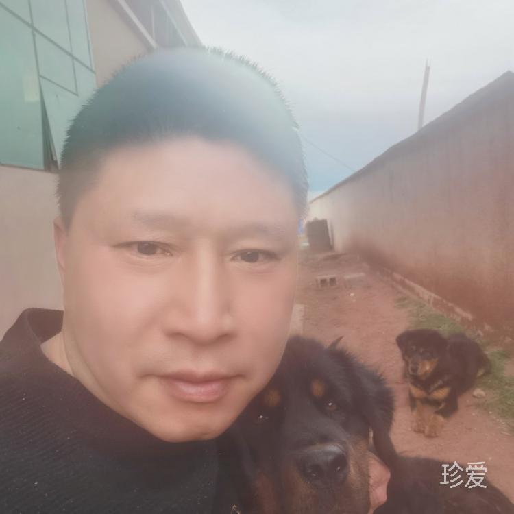 如果愛請(qǐng)直走