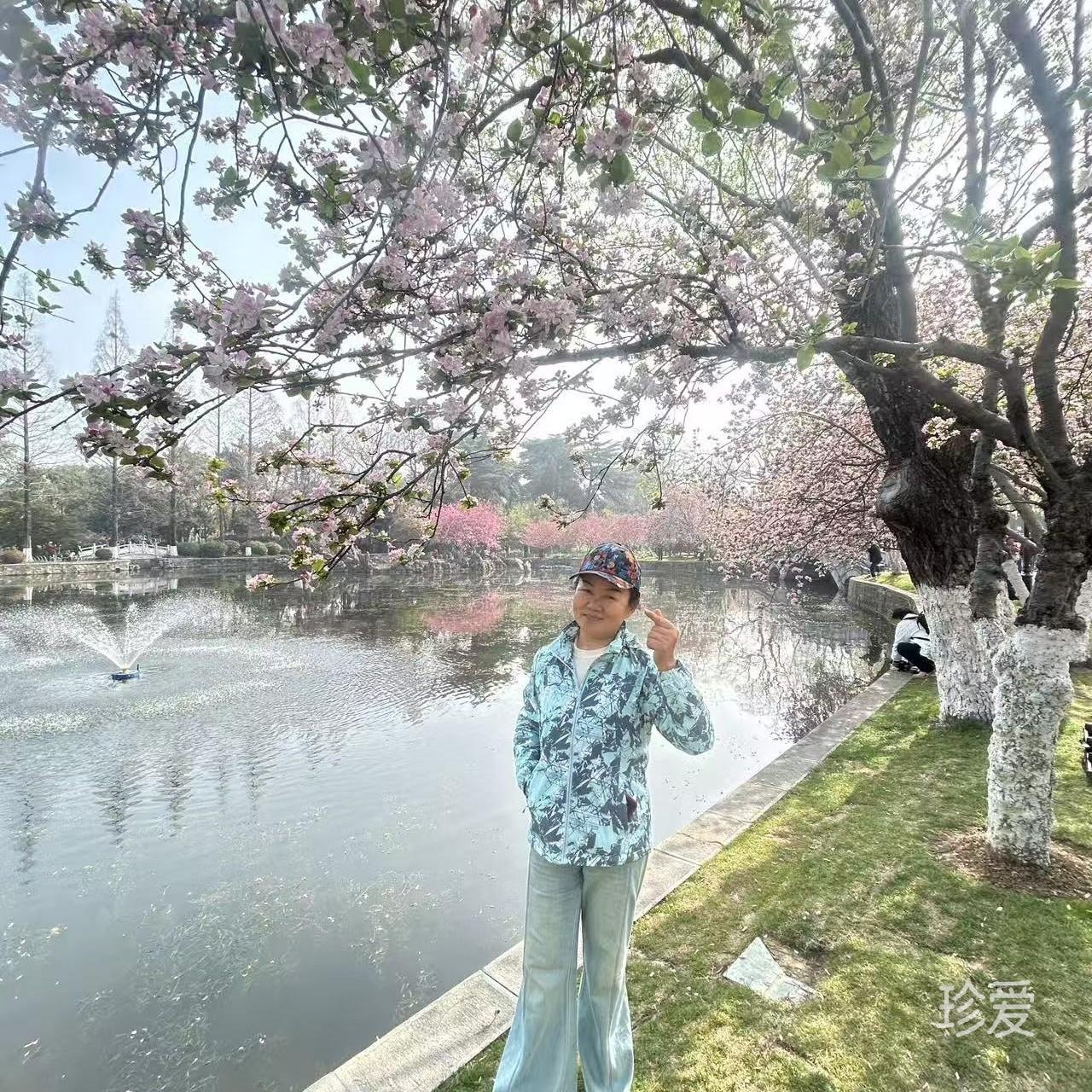 月色温柔