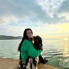 人生若只如初見(jiàn)